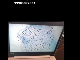 Notebook Lenovo branco roubado