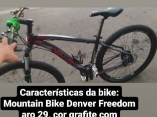 Bicicleta roubada