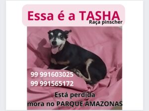 Tasha está perdida, mora no Parque Amazonas.