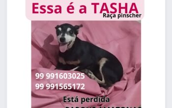 Tasha está perdida, mora no Parque Amazonas.