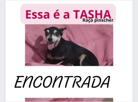 Tasha ENCONTRADA!